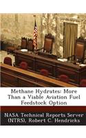 Methane Hydrates