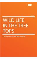 Wild Life in the Tree Tops