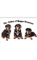 Des Bebes D'anges Heureux 2018