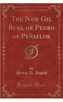 The New Gil Blas, or Pedro of PeÃ±aflor, Vol. 2 of 2 (Classic Reprint)