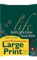 NLT Life Application Study Bible Large Print, Indexed