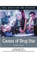 Causes of Drug Use