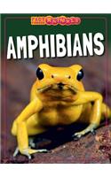 Amphibians