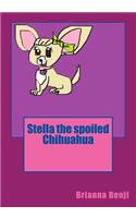 Stella the spoiled Chihuahua