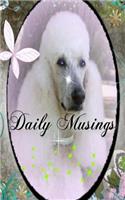 Daily Musings