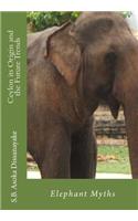 Ceylon its Origin and the Future Trends