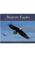 Majestic Eagles: Compelling Facts and Images of the Bald Eagle