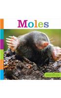 Moles: (Seedlings: Backyard Animals)