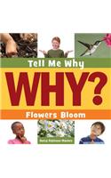 Flowers Bloom