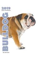 Bulldog 2019 Dog Calendar (UK Edition)
