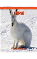 Lapin