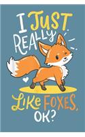 I just really like foxes OK: Fox Notebook College Blank Lined 6 x 9 inch 110 pages -Notebook for Fox Lovers Journal for Writing- Notebook for Girls-Gift for Kid Student Funny Gi