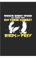 Birds of prey