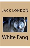 White Fang