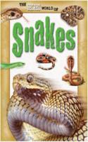 Secret World of: Snakes