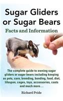 Sugar Gliders or Sugar Bears