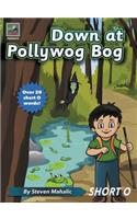 Down at Pollywog Bog