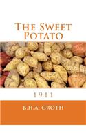 Sweet Potato