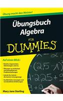 UEbungsbuch Algebra fur Dummies