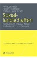 Soziallandschaften