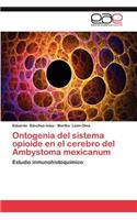 Ontogenia del Sistema Opioide En El Cerebro del Ambystoma Mexicanum