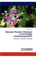 Myocyte Nuclear Chamges in End-Stage Cardiomyopathies