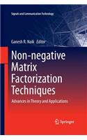 Non-Negative Matrix Factorization Techniques