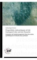 Propriétés Mécaniques Et de Transport Des Verres Fissurés