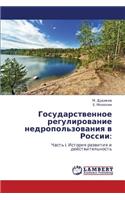 Gosudarstvennoe Regulirovanie Nedropol'zovaniya V Rossii