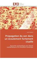 Propagation Du Son Dans Un Écoulement Fortement Cisaillé