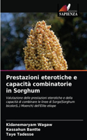 Prestazioni eterotiche e capacità combinatorie in Sorghum