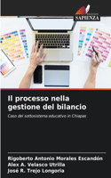 Il processo nella gestione del bilancio