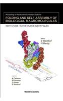 Folding And Self-assembly Of Biological Macromolecules - Proceedings Of The Deuxiemes Entretiens De Bures