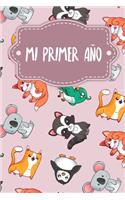 Mi primer año