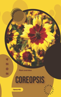 Coreopsis: Simply beginners guide