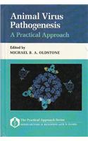 Animal Virus Pathogenesis: A Practical Approach