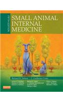 Small Animal Internal Medicine - E-Book