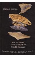 Stream System: The Collected Short Fiction of Gerald Murnane