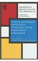 Caveolae and Lipid Rafts: Roles in Signal Transduction and the Pathogenesis of Human Disease