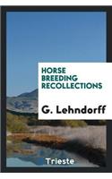 Horse Breeding Recollections