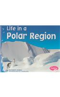 Life in a Polar Region