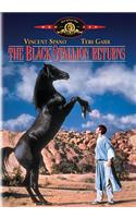The Black Stallion Returns