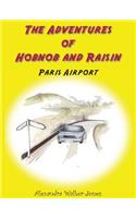 Adventures of Hobnob and Raisin - Paris Airport