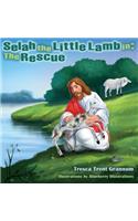 Selah the Little Lamb in