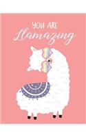 You are Llamazing