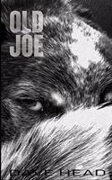 Old Joe