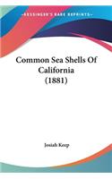 Common Sea Shells Of California (1881)
