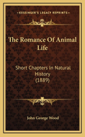 The Romance Of Animal Life