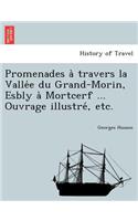 Promenades à travers la Vallée du Grand-Morin, Esbly à Mortcerf ... Ouvrage illustré, etc.