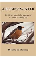 Robin's Winter: The life and times of a lad who grew up in a hamlet on Saginaw Bay